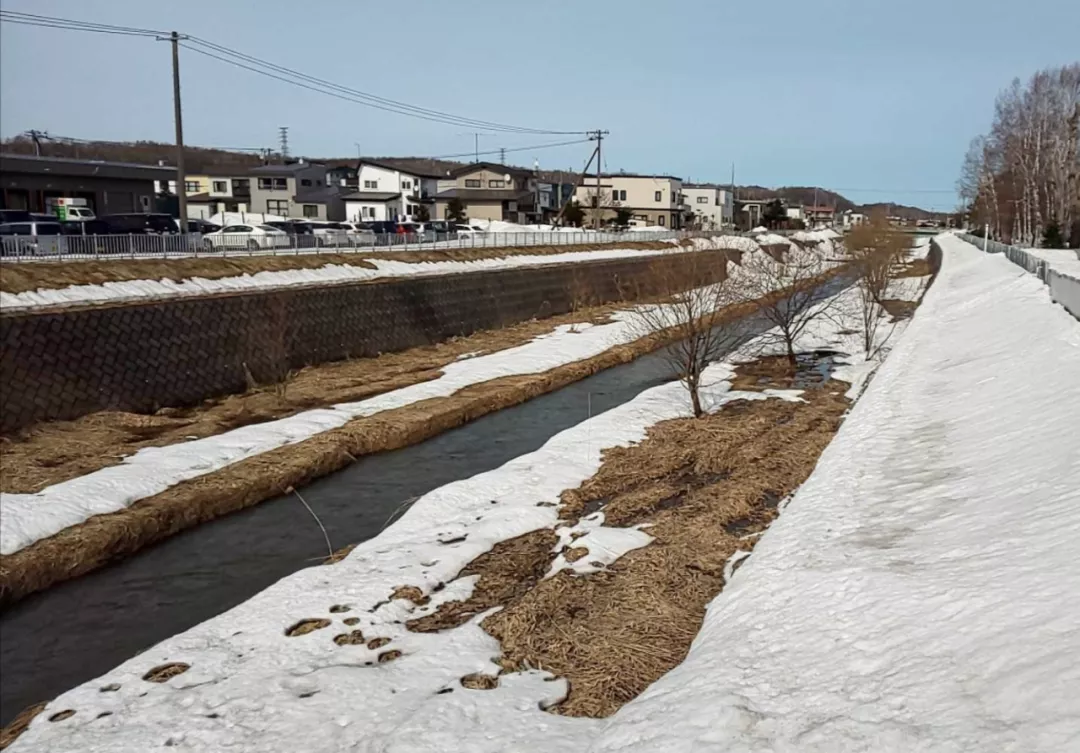 小女孩被霸凌自杀，日本校园暴力为何普遍而恐怖？