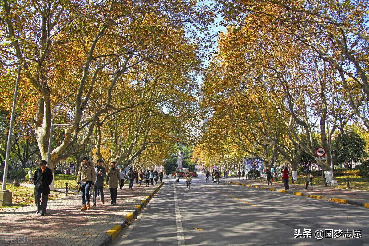 建筑老八校最新排名：清华大学只能排第2，天津大学垫底