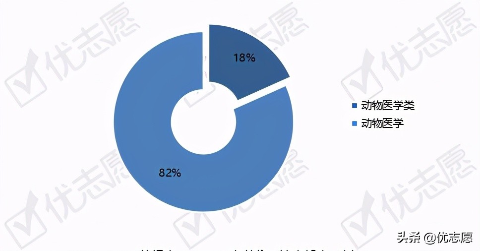 动物医学专业招生、升学、就业分析