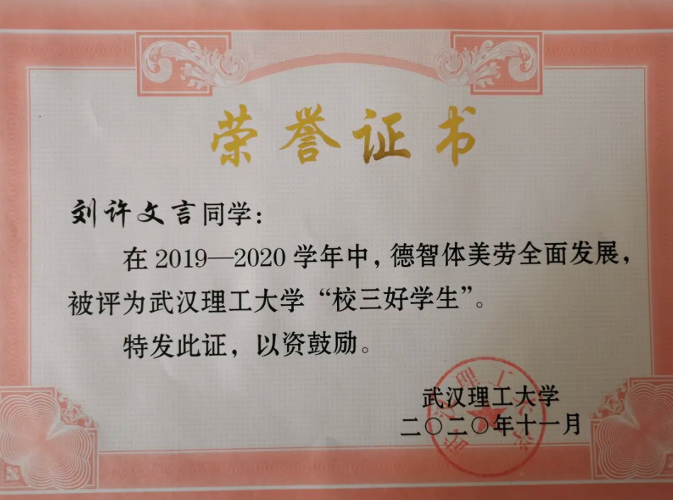 武汉“学霸”四兄弟：考进同所大学，全员斩获奖学金，如今又集体保研985！