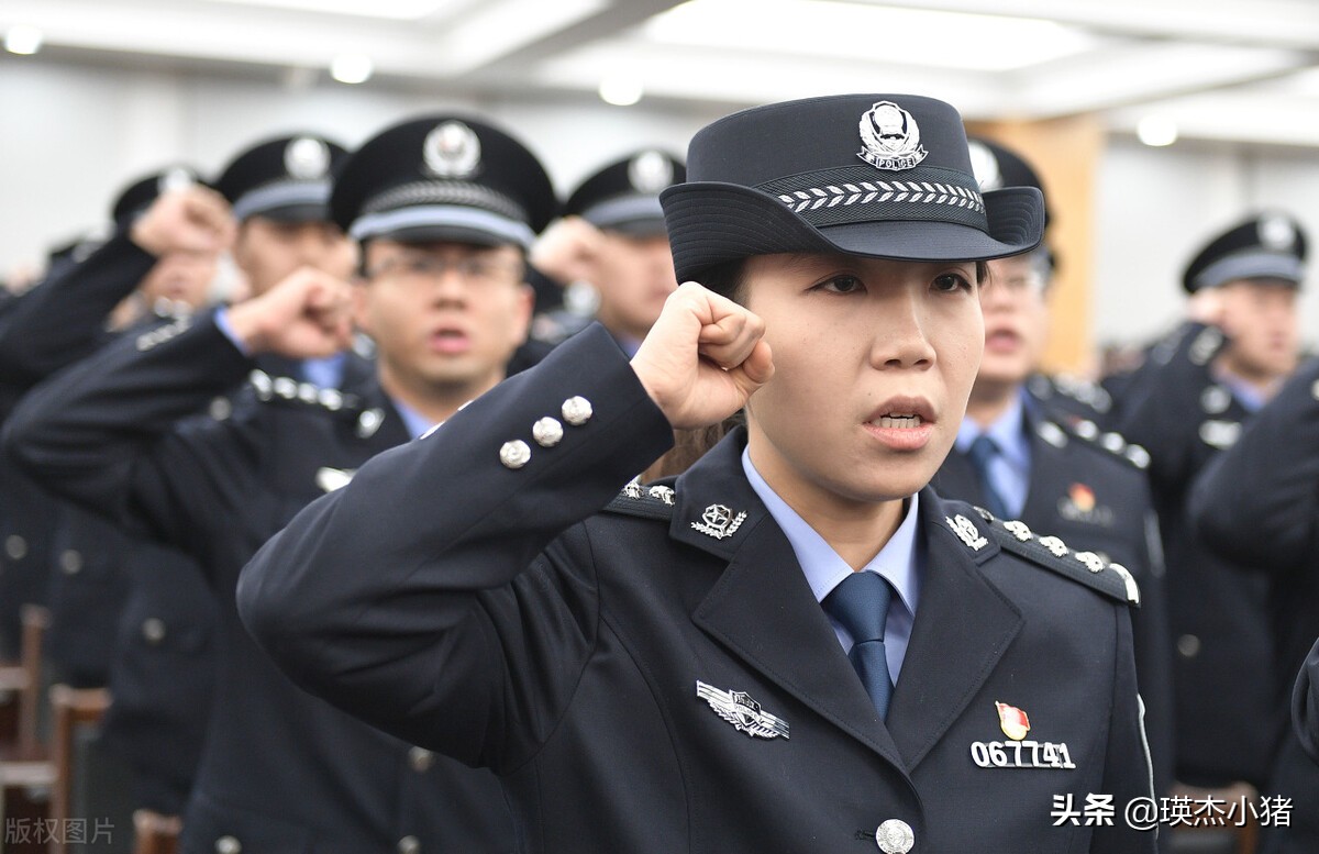 目前,公安民警的胸徽大致可分為三個類型