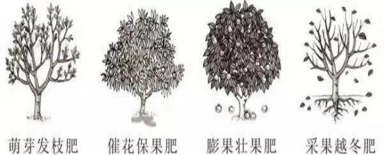 植物生理简介（植物生理的特性及土壤改良）