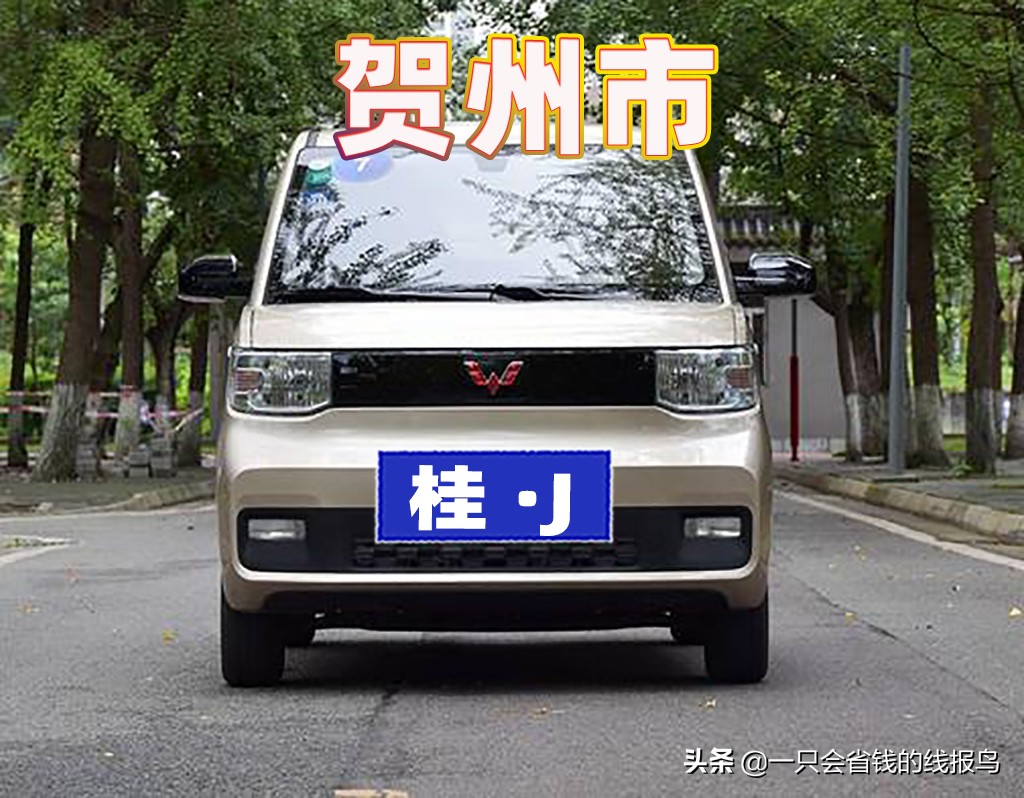 å¹¿è¥¿å£®æ—�è‡ªæ²»åŒºæ±½è½¦ç‰Œç…§å&shy;—æ¯�æ�’åº�