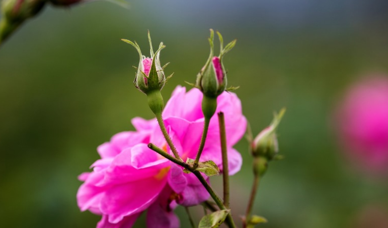 如果你爱上了一个有家庭的男人，要学会如此做