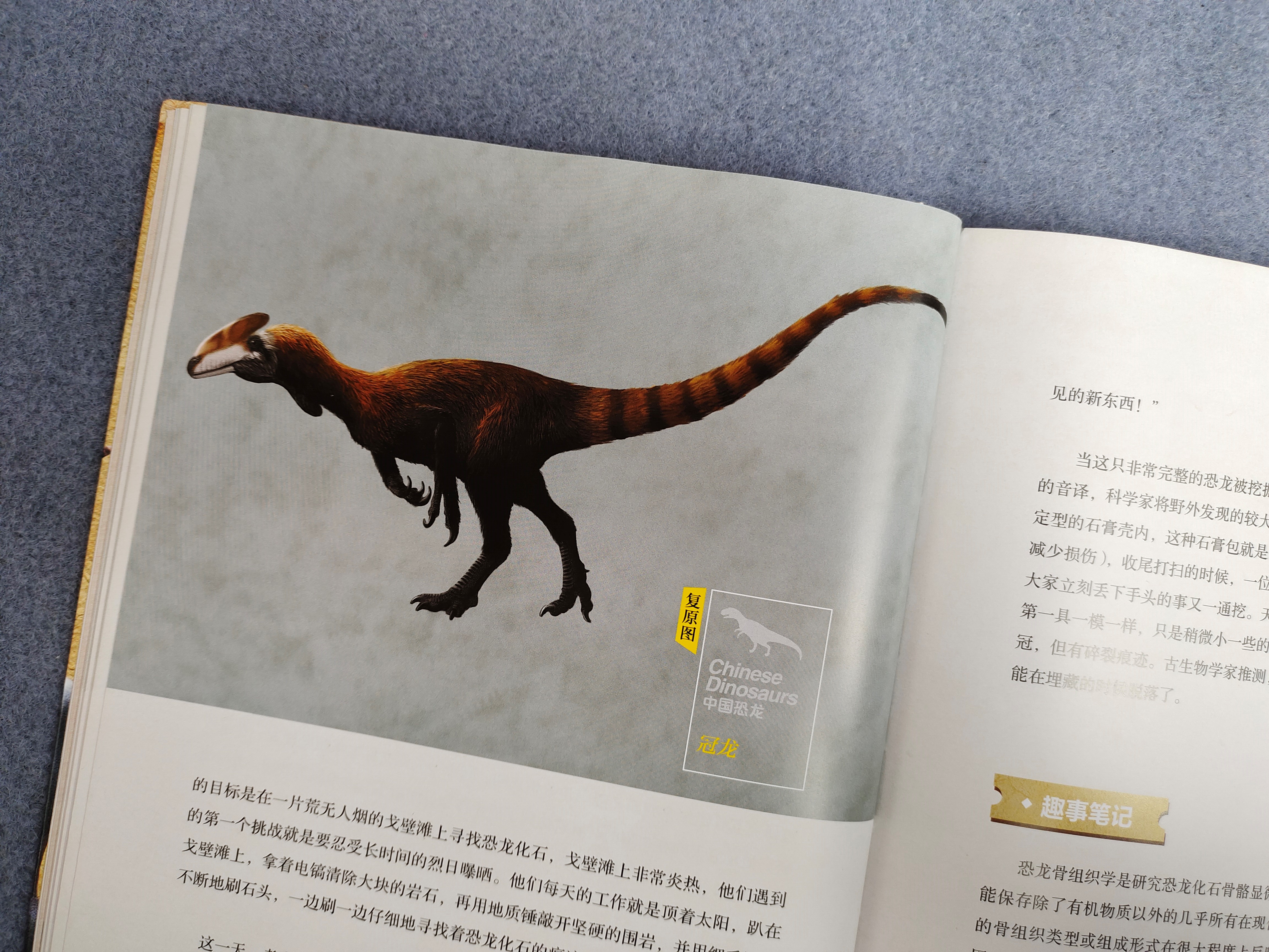 1.已知最早的暴龙类成员——冠龙