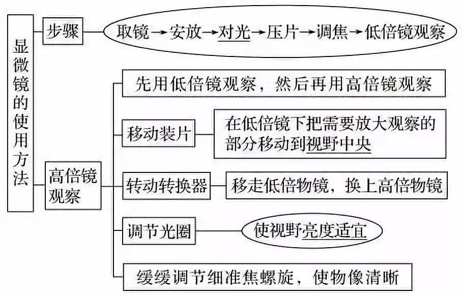 涵盖高中所有生物实验知识点