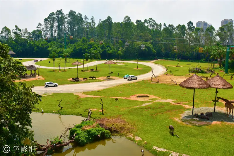 长隆欢乐世界旅游攻略景点必去（三天三夜欢乐长隆之旅）