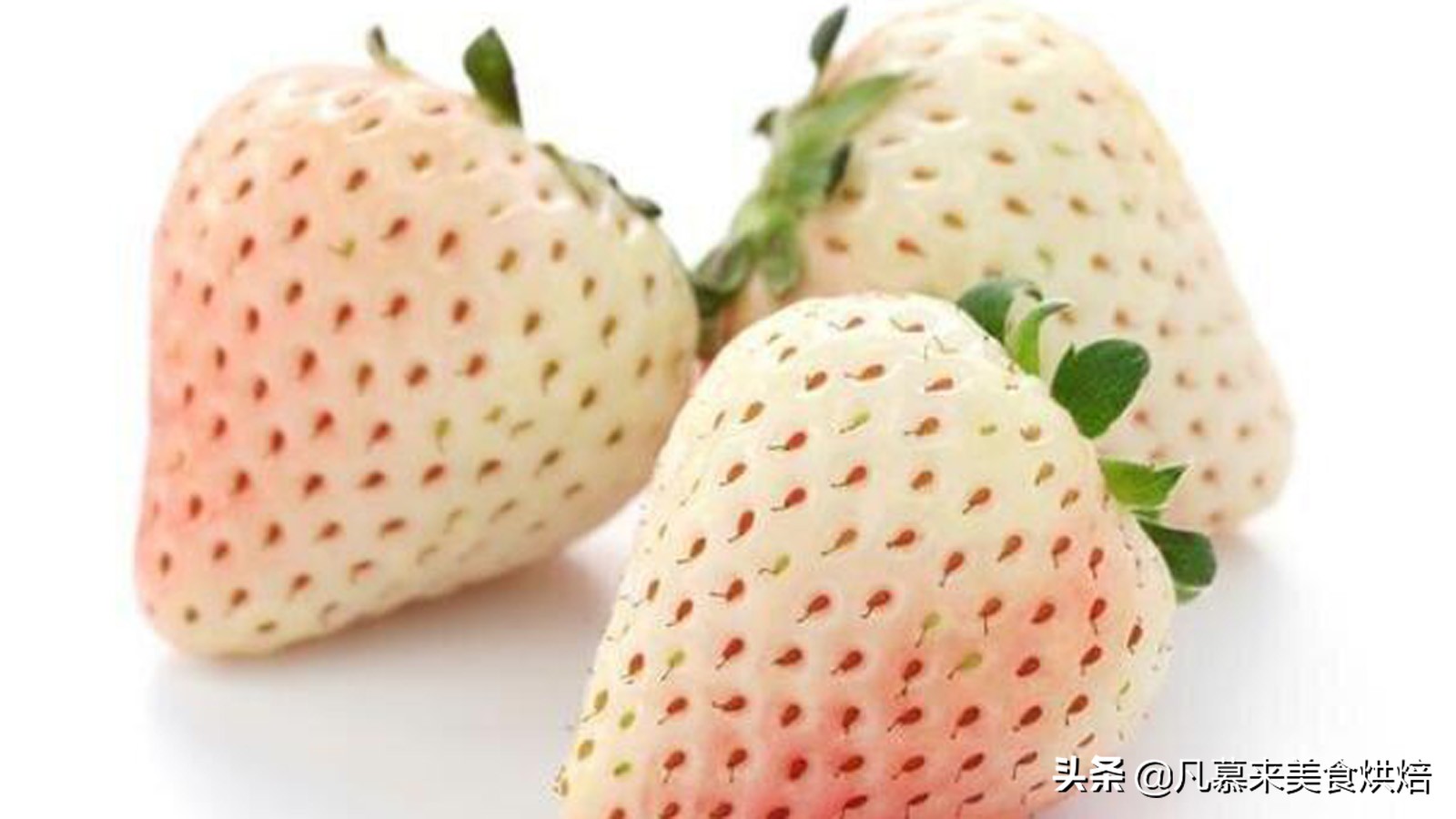 24种常见草莓品种，中国20大草莓产地？哪里的草莓最好吃？