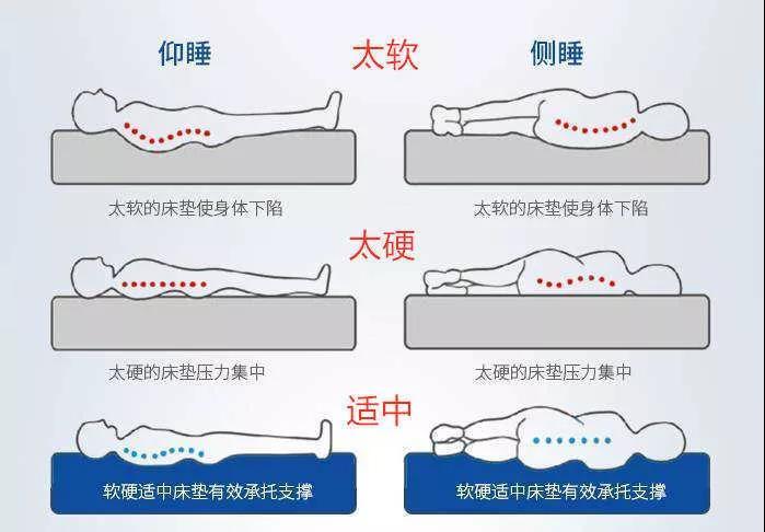 什么牌子的床垫最好,