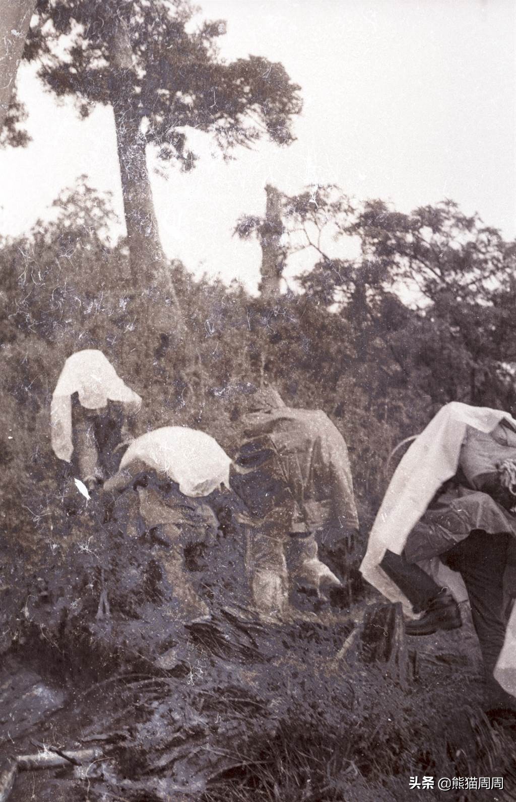 1972年，3名学生登山神秘失踪，留下3双诡异筷子，插地成谜