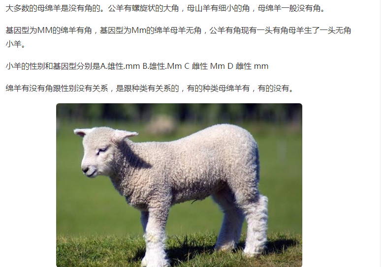 十年后才知道,美羊羊的羊角并非什么穿帮,母羊其实也有角