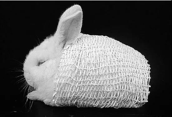 《流浪地球》中的杭州没了，还要去浙大上学/上班吗？