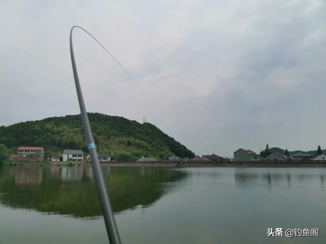如果买鱼竿仅仅是为了“钓不断”,就记住买这样的竿子