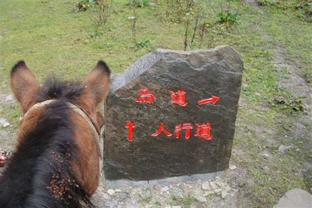 四川百所开设汽车运用与维修专业的中职学校名单