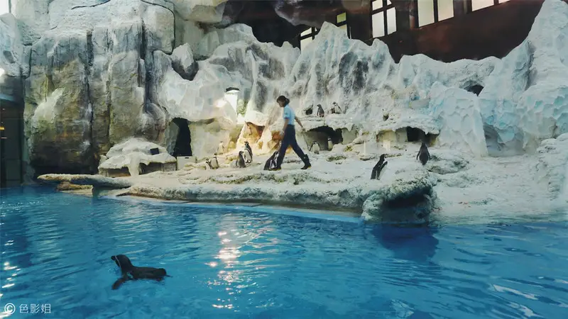 长隆欢乐世界旅游攻略景点必去（三天三夜欢乐长隆之旅）