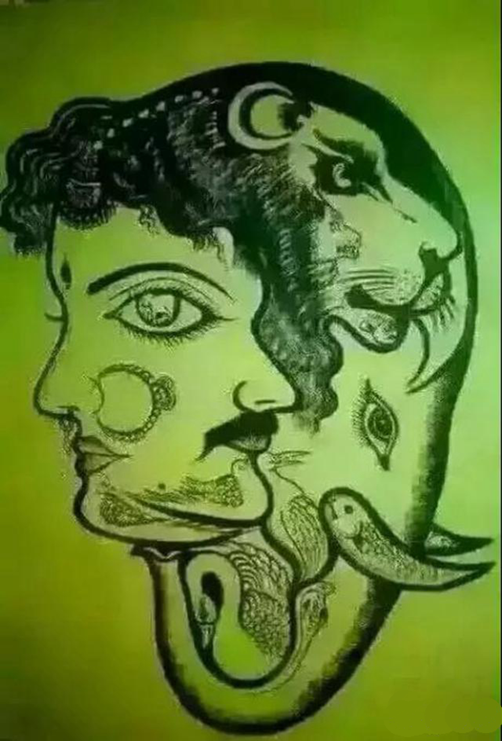 7张图都藏着兔子,找到5张是好眼力