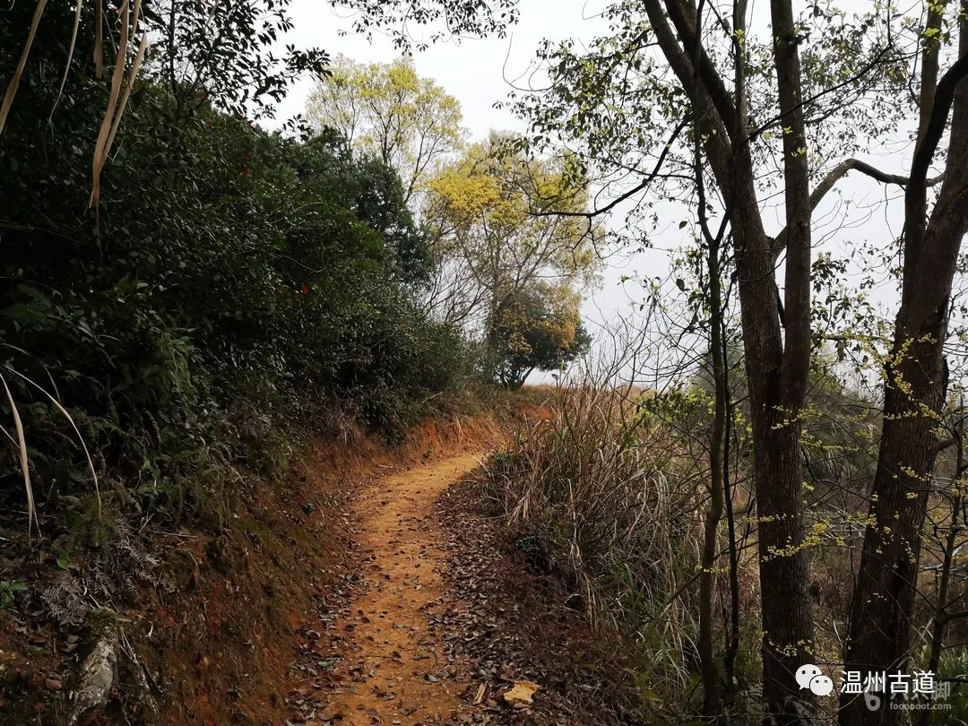平阳麻步吧（平阳麻步沿口七星山古道环线穿越风景如画）