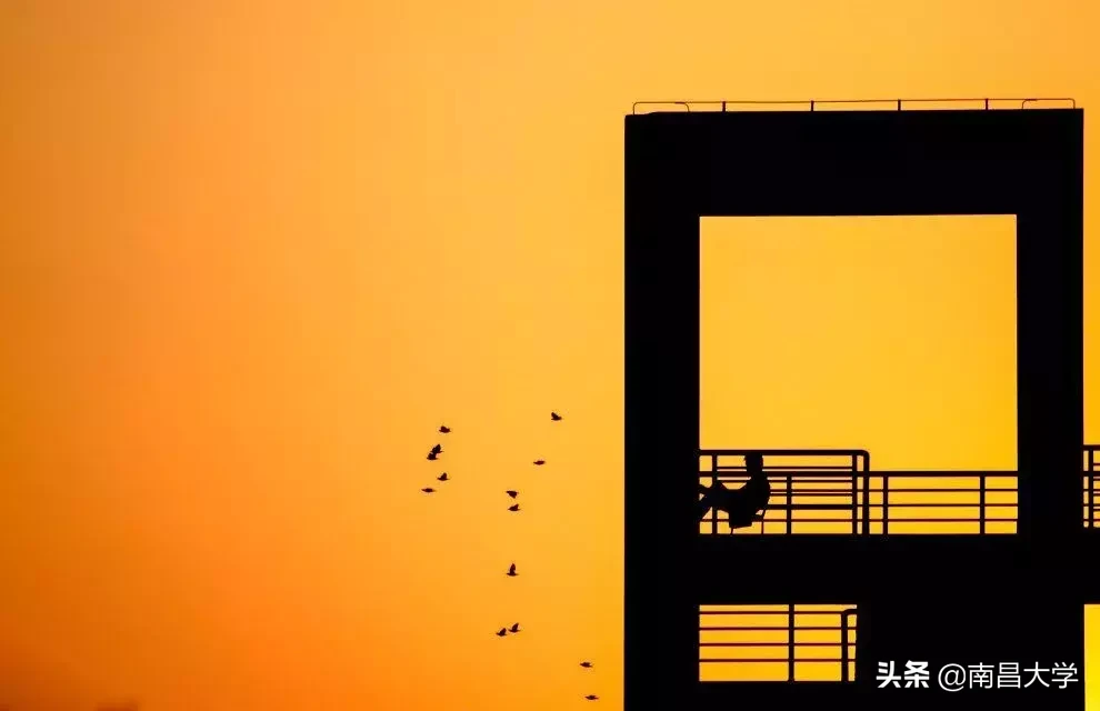 还想做完这50件事，再和母校告别！