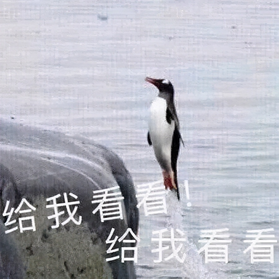 内蒙古医科大学研究生院（有消息了）