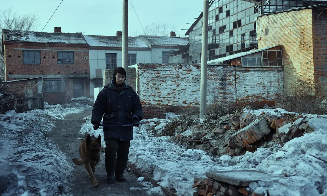 电影水凤凰好看吗 _晶羽科技