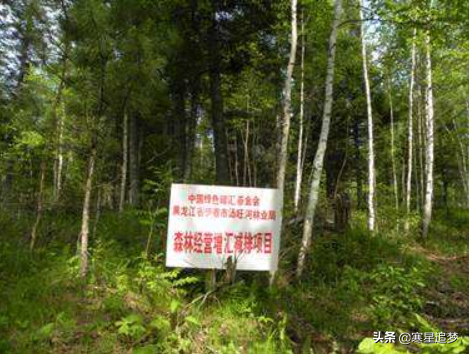 2020大学学科(专业)介绍和大学排名(27)——核技术、农林工程