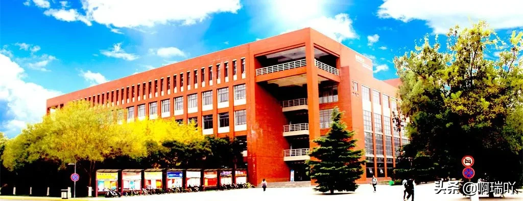 就业丨陕西科技大学2019届毕业生就业情况