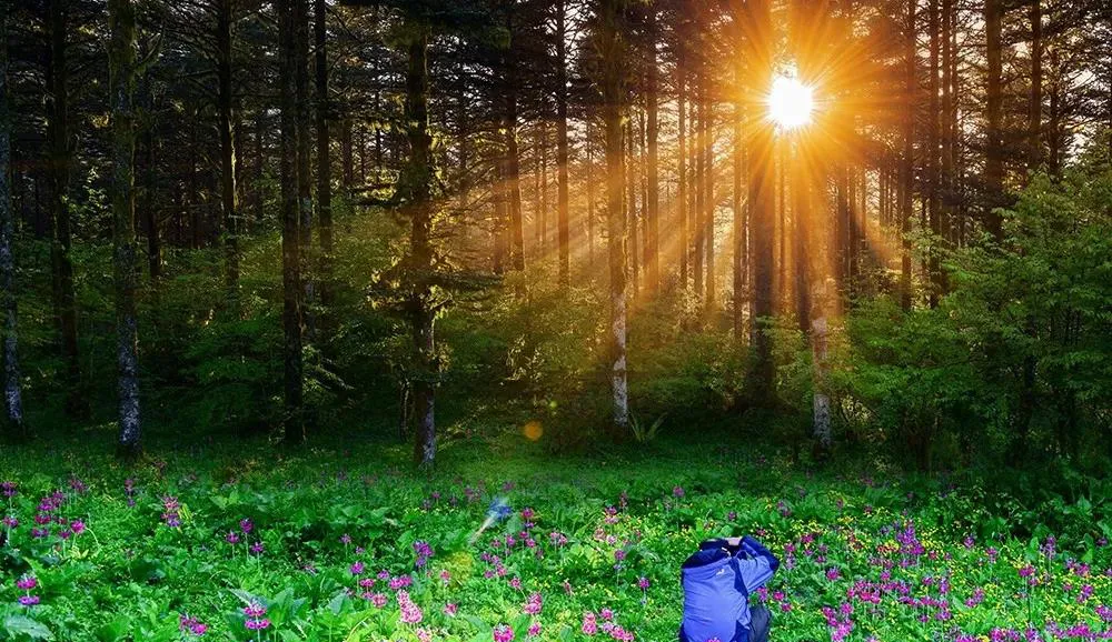 不收门票的世界级风景！赏万亩夏花、观云海日出…成都2天耍来回