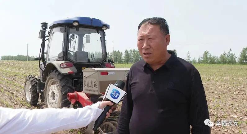 吉林省玉米获大丰收，而保护性耕作产量更高出一截，这三条很关键