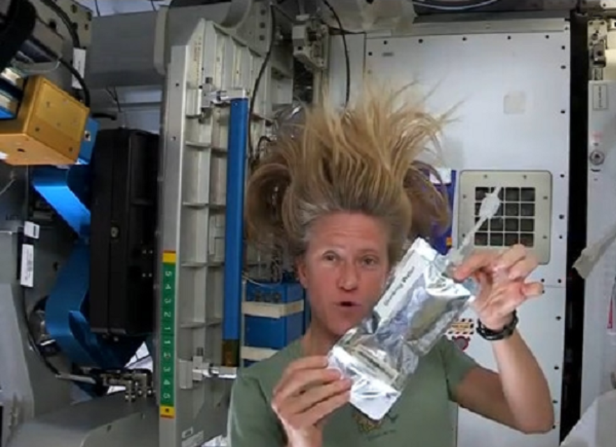 女宇航员在太空上如何保护隐私？上厕所、洗澡、生理期怎么办？