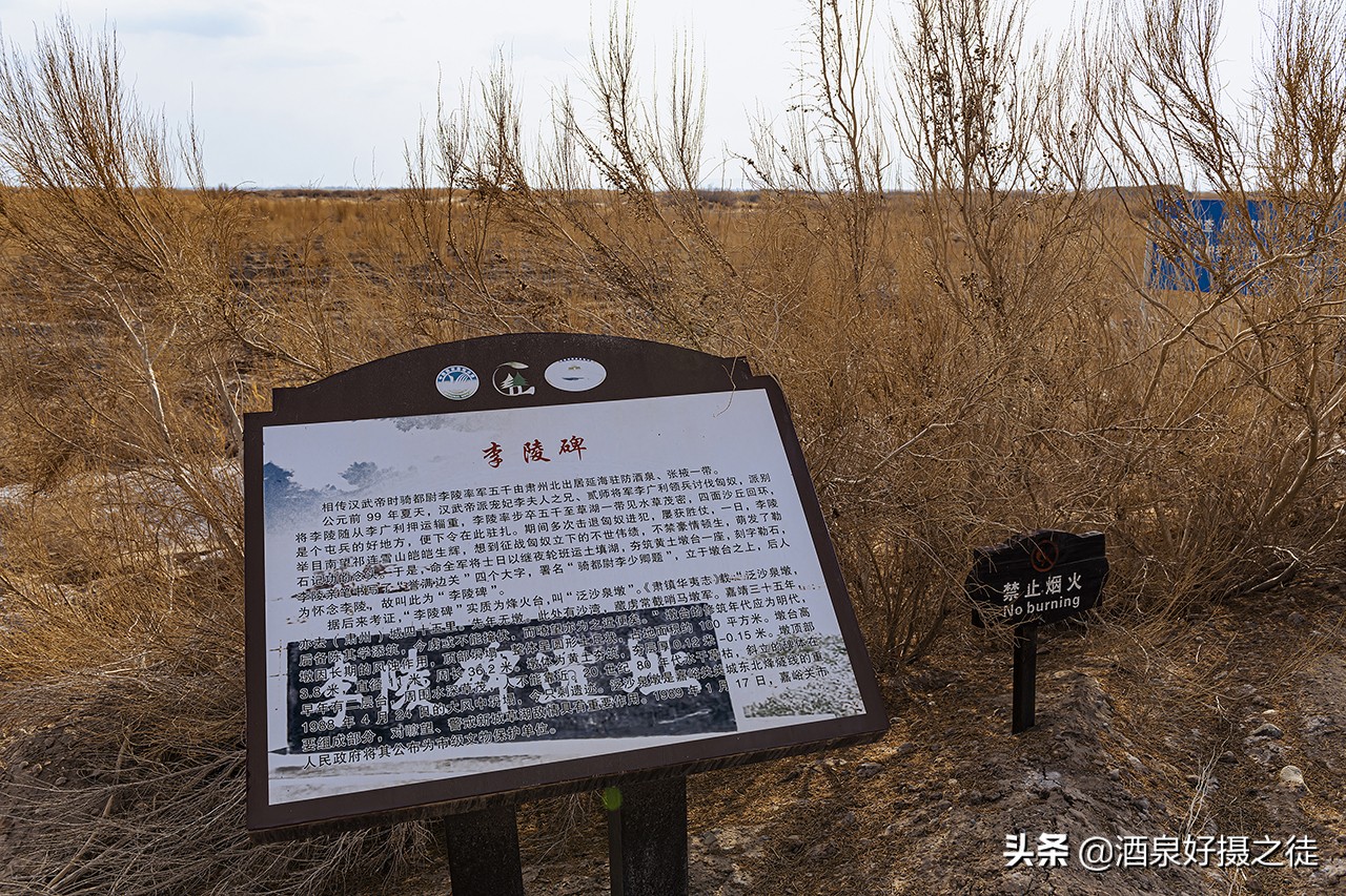 李陵碑遗址在哪（芦苇荡中的李陵碑遗址图片）