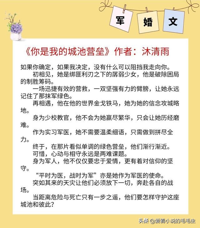 军婚文(5本超赞的军婚文推荐，男主雅痞专情军官，唯独将她宠成小公主)