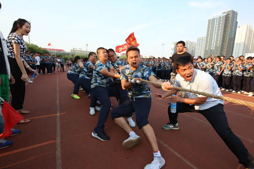 排名才是王道，看排名报考不迷路，附河北省内一本大学预估分数线