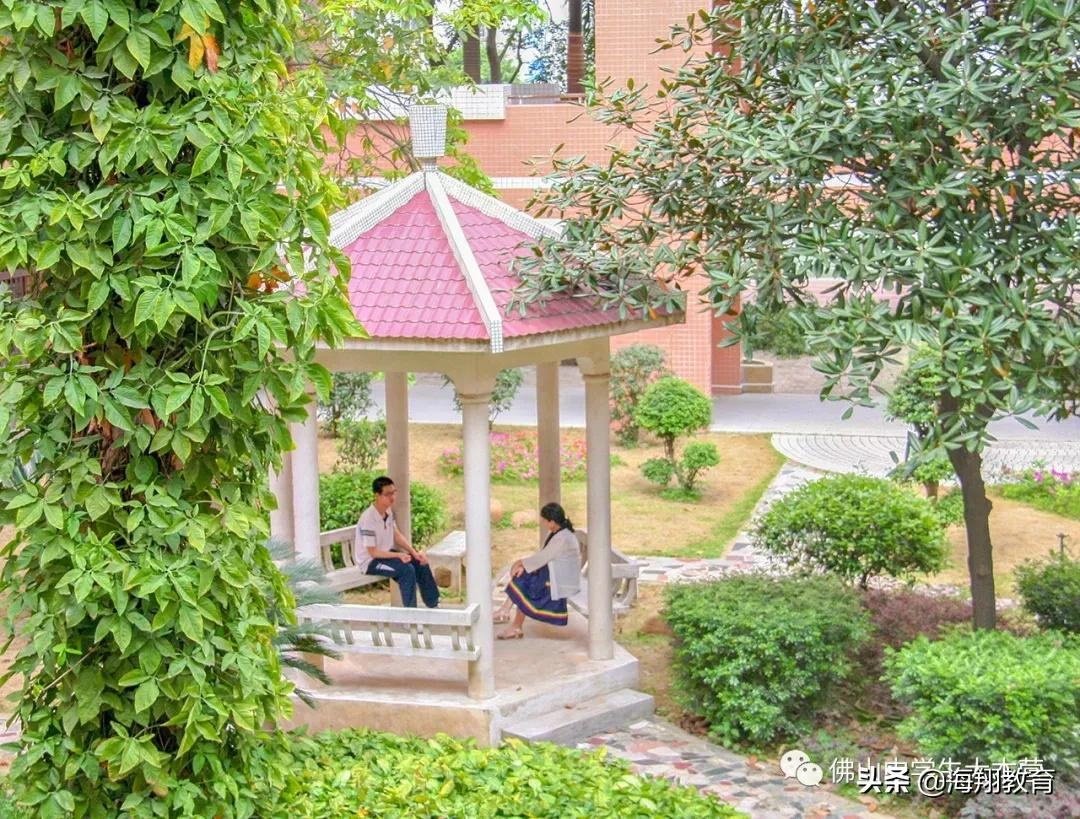 美爆了！佛山8所校园风景大片来袭！哪一间惊艳到你了？