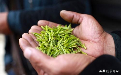 老茶商讲述：茶叶销售最厉害的技巧，是怎样把控客户的心理需求
