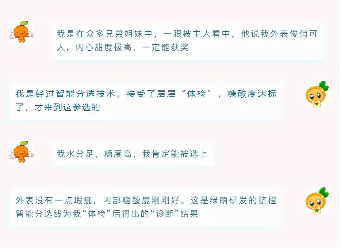 從2人管理的果園中摘下的臍橙，是如何斬獲臍橙質量“金獎”的？