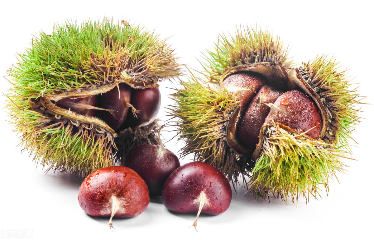 生栗子冷冻后发黑还能吃吗-壹健康经验