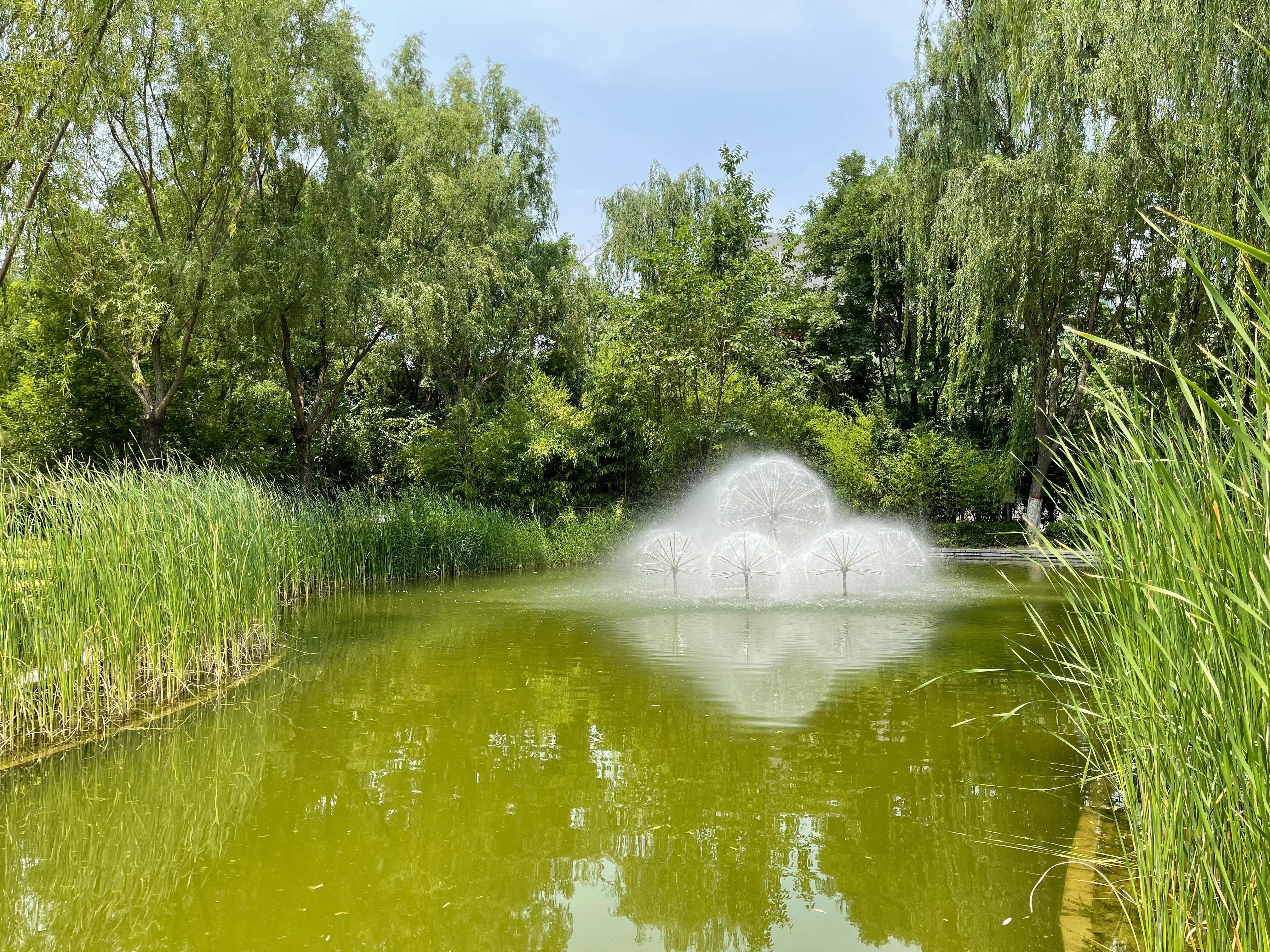 河北师大—惠泉