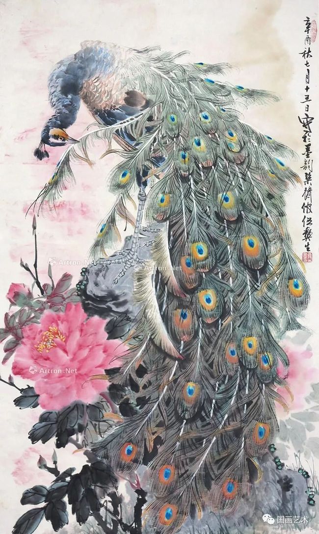 高贵,冷艳的白孔雀