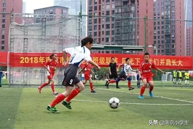 南京39所小学特色课程大盘点