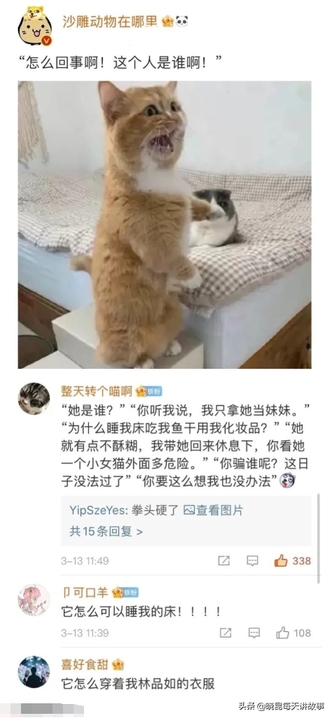 剥夺政治权利终身是什么意思,剥夺政治权利终身是什么意思通俗