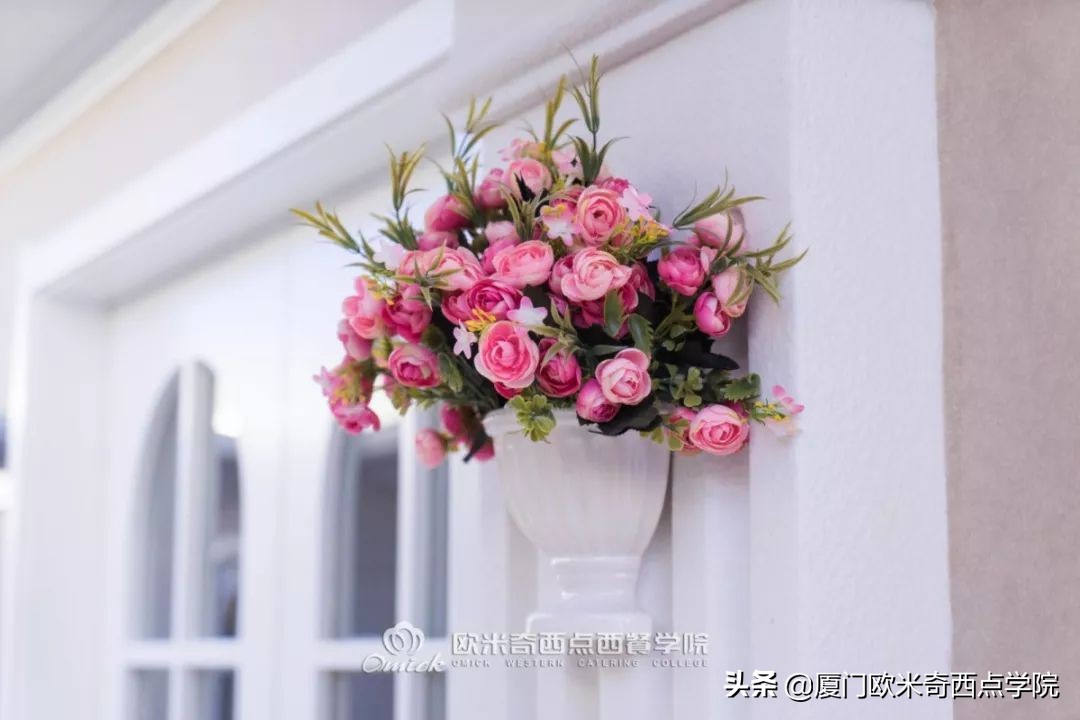 总觉得学费太贵？可我们贵有贵的道理