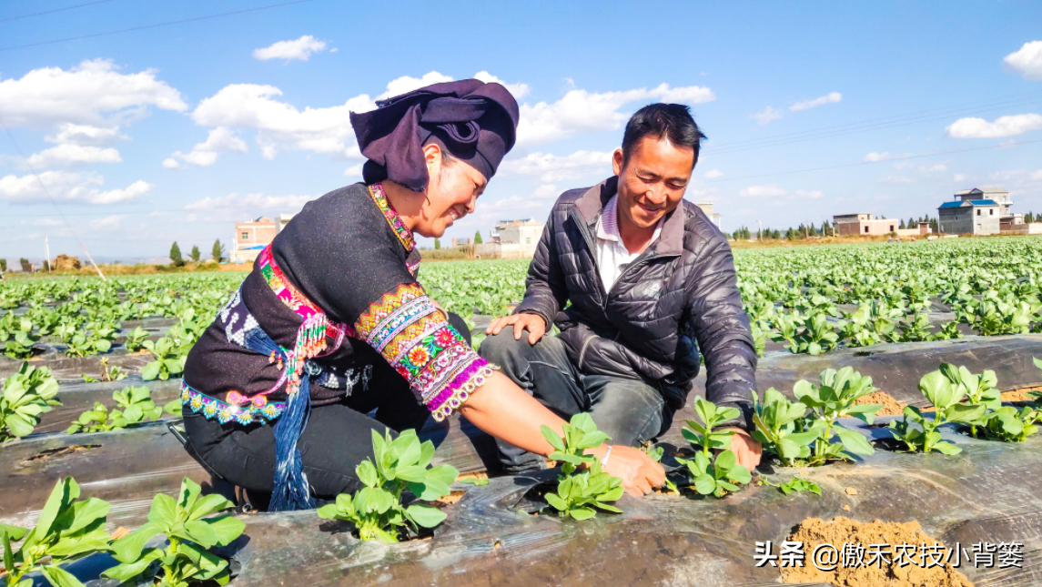 氯化铵是酸性还是碱性（氯化铵使用的7个注意事项）