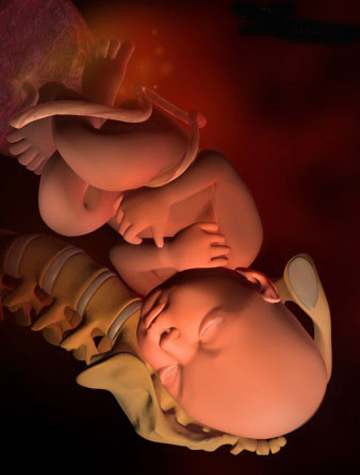 怀孕晚期38-40周,是胎儿的猛涨期?这2项检查很重要,孕妇要牢记