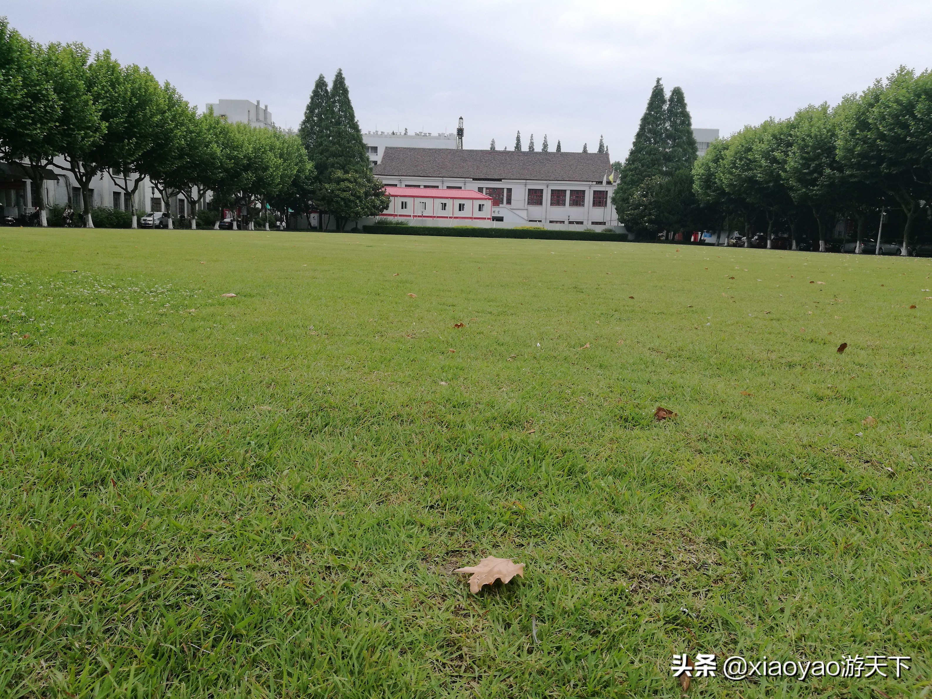 最美大学之旅——复旦大学