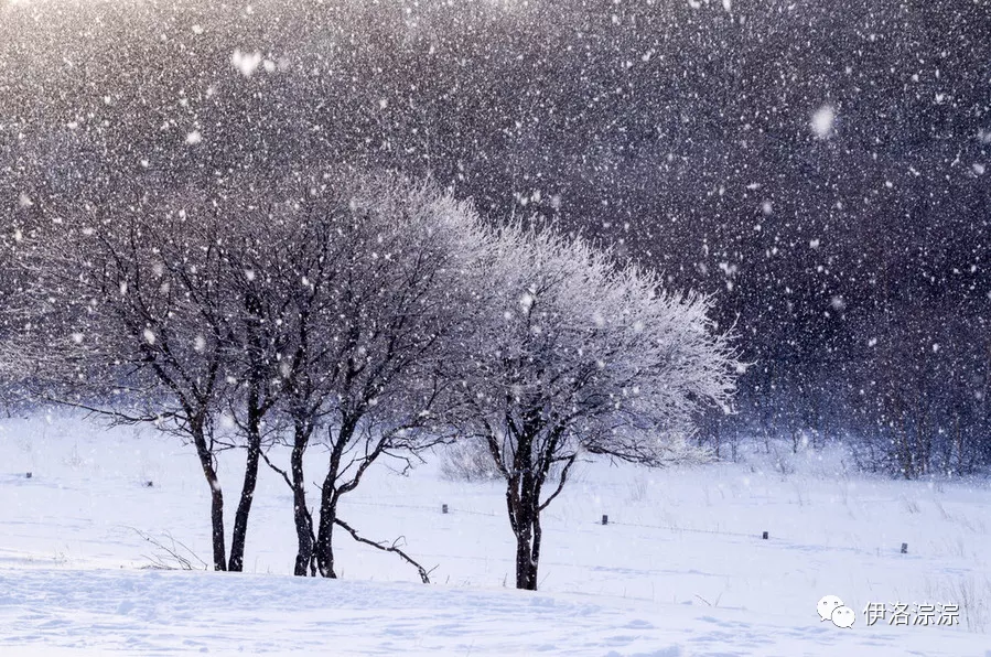 北风吹雪花飘背景图片图片