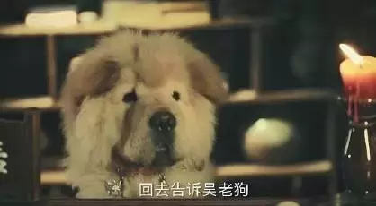“老九门”是哪九门,你真的知道吗?