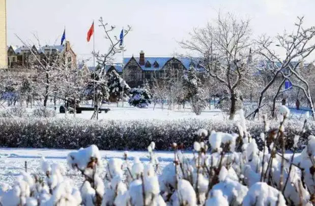 中国烹饪大师坐镇，拥有国内首创美食，沈阳这所高校火上“热搜”