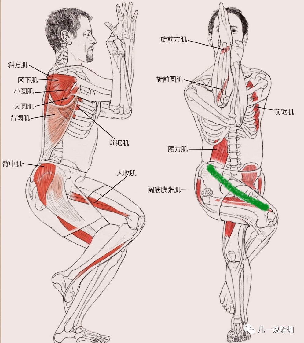 为什么nba球员投篮膝盖内扣(老师：为什么膝盖总喜欢内扣，而且怎么调整都没用呢？)