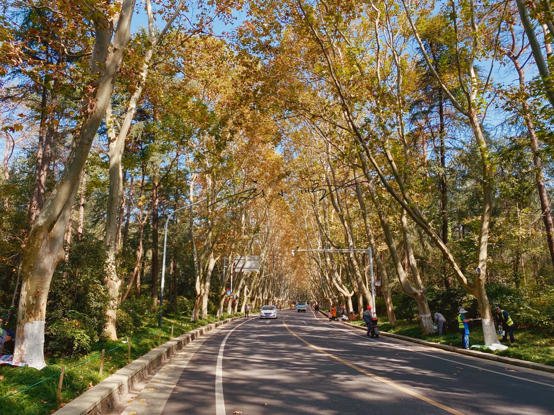 中山陵怎么走路线一条特别的道路通往中山陵