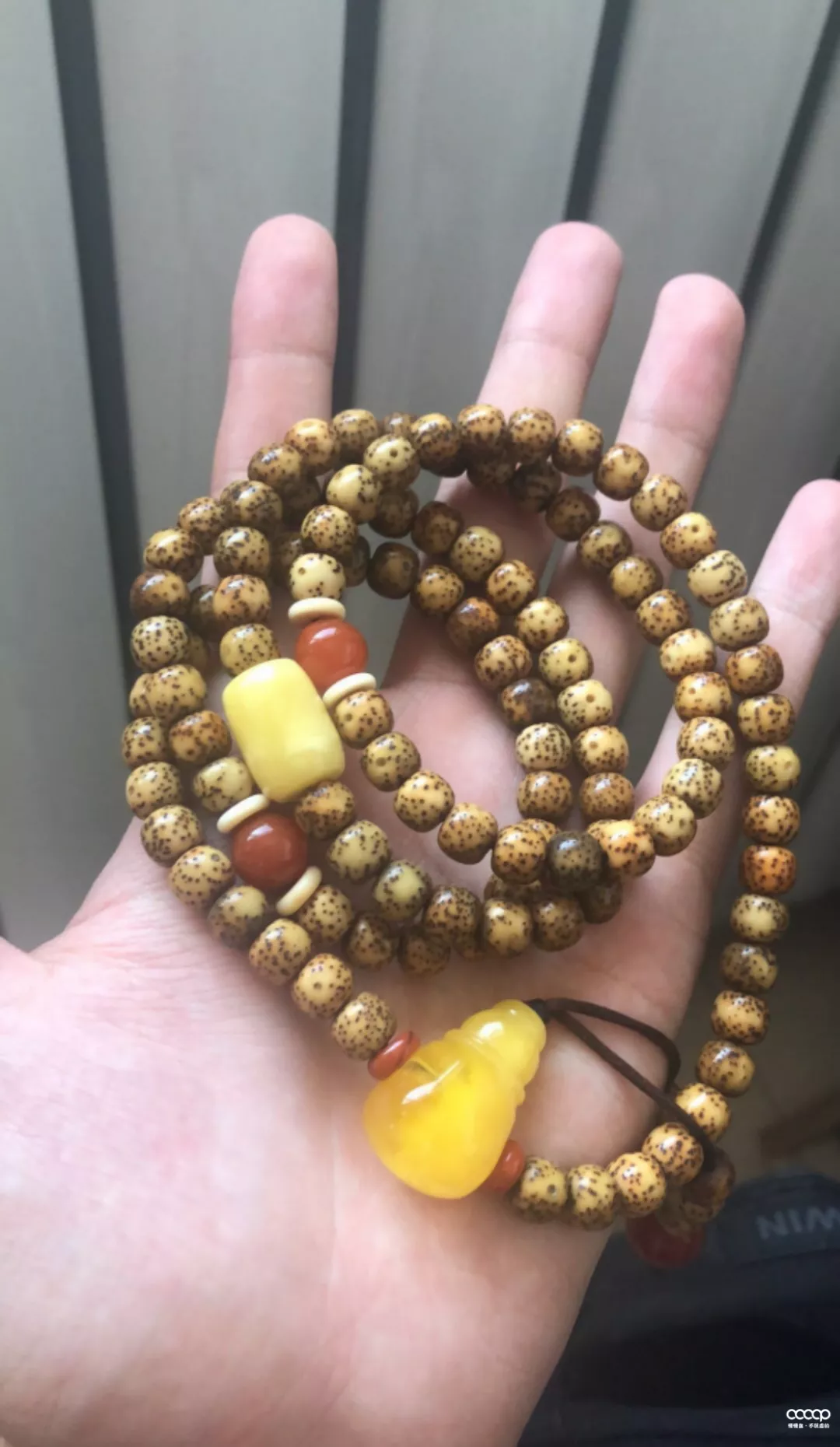 玩串儿1年,就很出彩!谁说小白,就一定会吃药